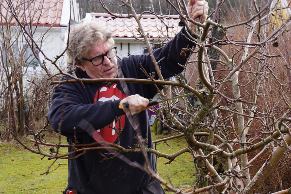 Artikel i Hus & Livsstil