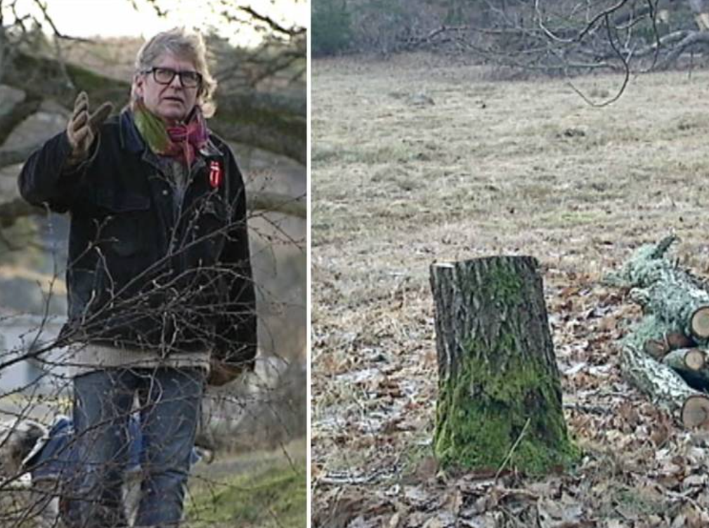 Artikel i Hus & Livsstil